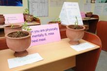 JSS Institute of Naturopathy and Yogic Sciences Coimbatore Events photo 6